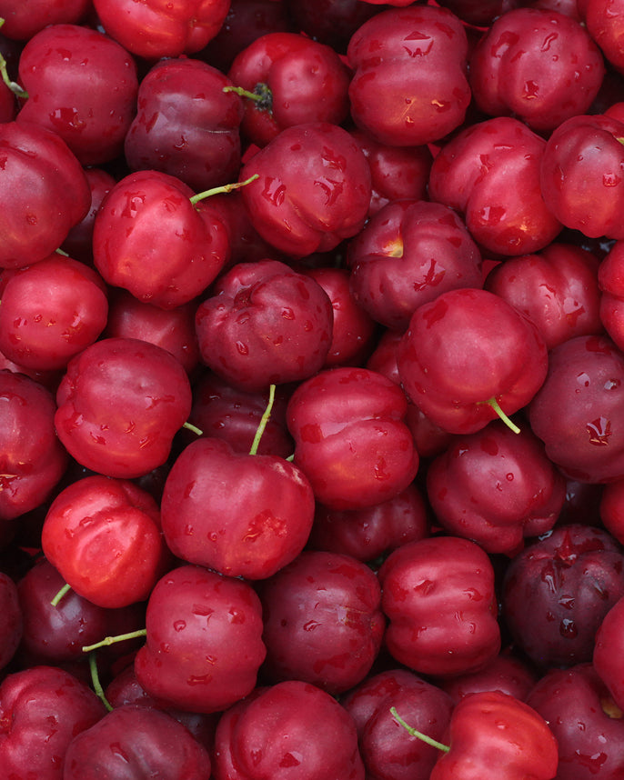 close up of cherries with green stems