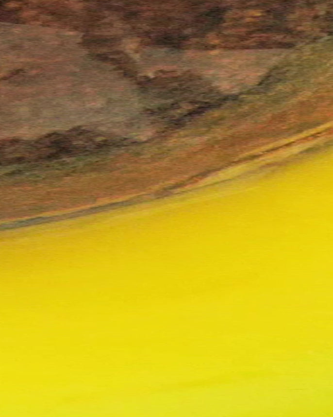 close up of an avocado