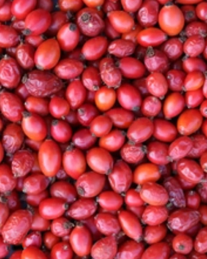 Close-up of red berries with a blurred background