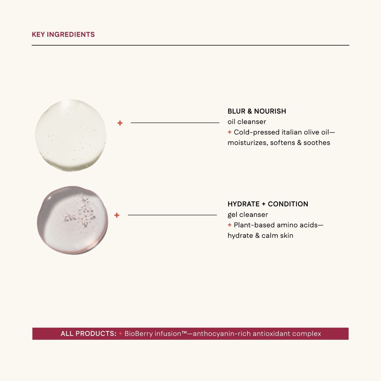 Product cleanser with labeled key ingredients on a white background