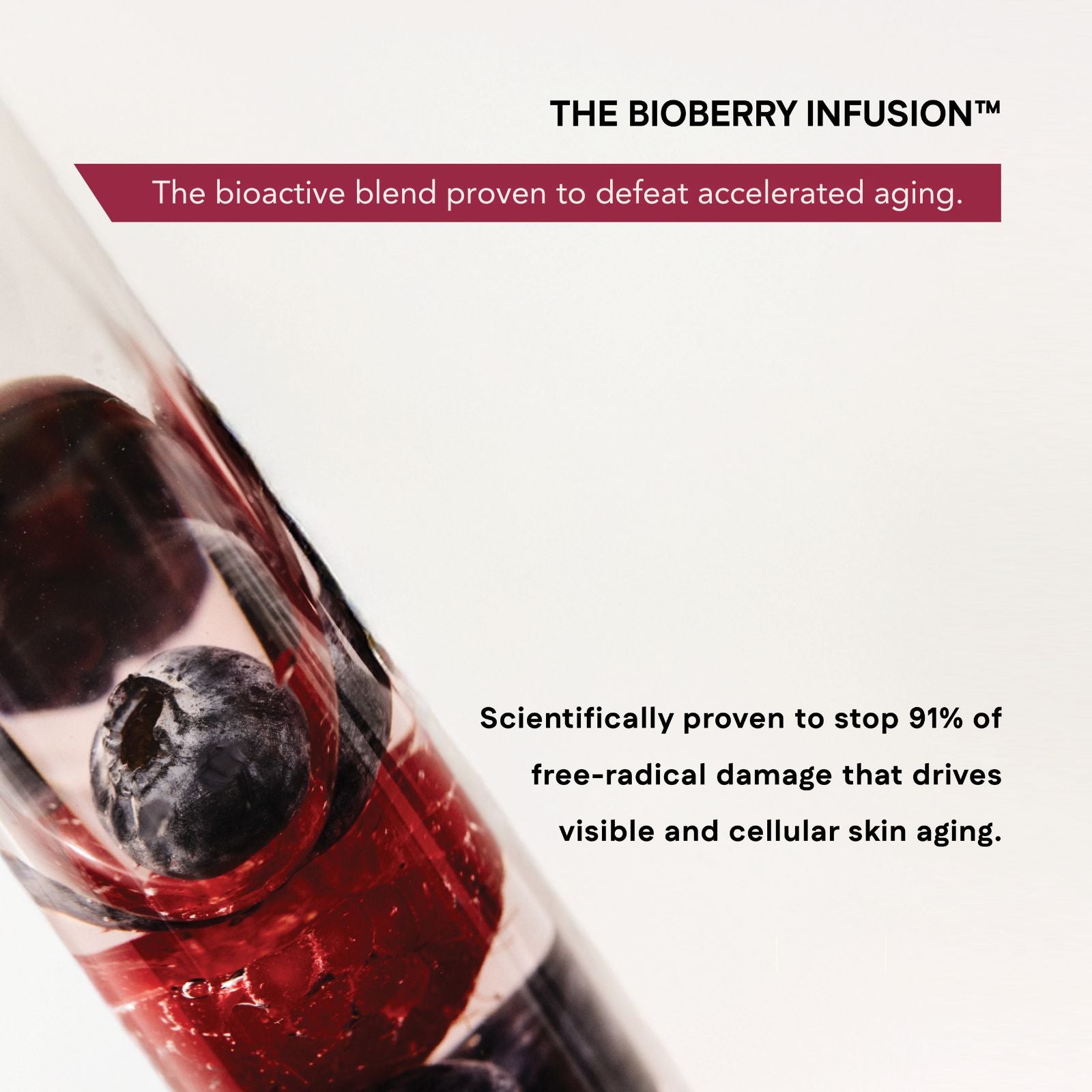 Bioberry infusion product with blueberry in a glass container on a white background