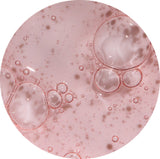 Close-up of pink liquid with bubbles under a microscope