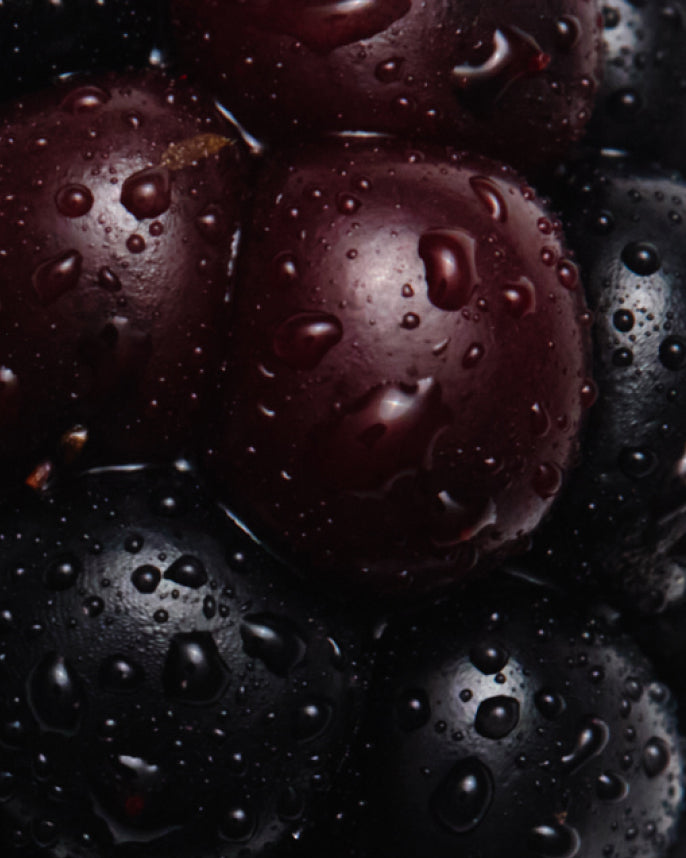 Close-up of dark purple grapes with water droplets on a dark background