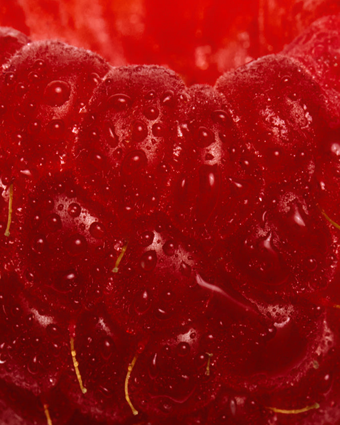 Close-up of red raspberries with a blurred background