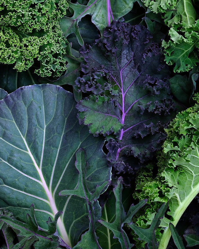 Close-up of green and purple leafy vegetables