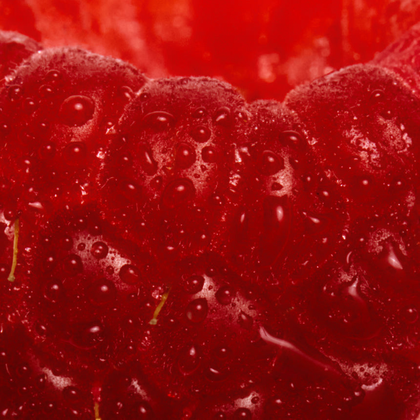 Close-up of red berries with water droplets on a red background