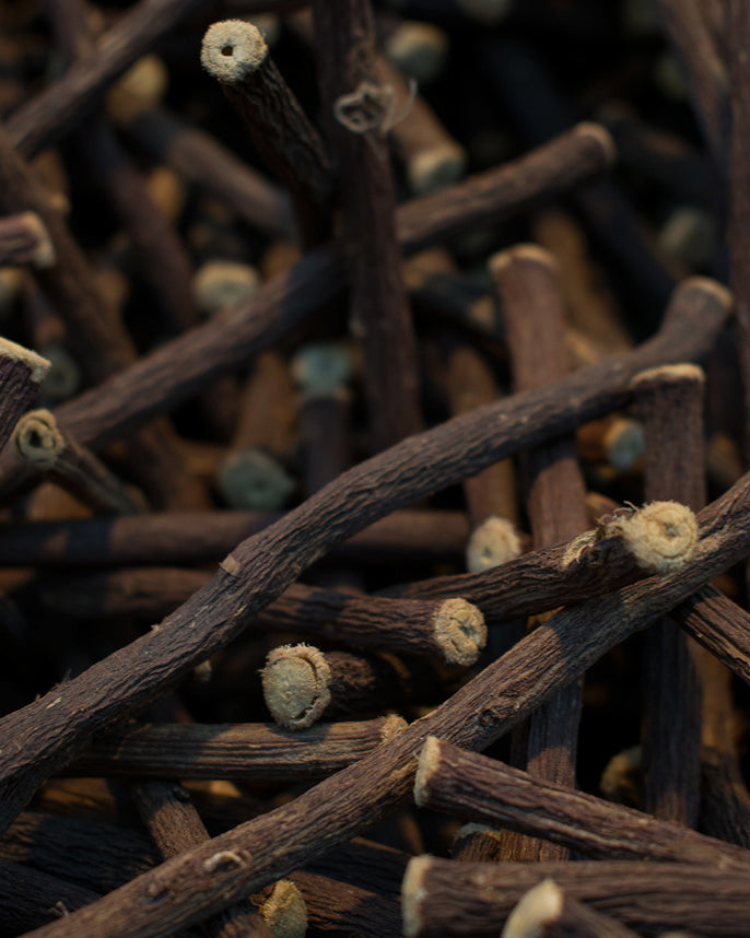Close-up of licorice root sticks with a dark background