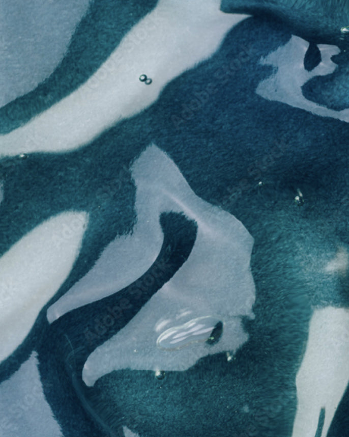 Close-up of a blue and white patterned fabric