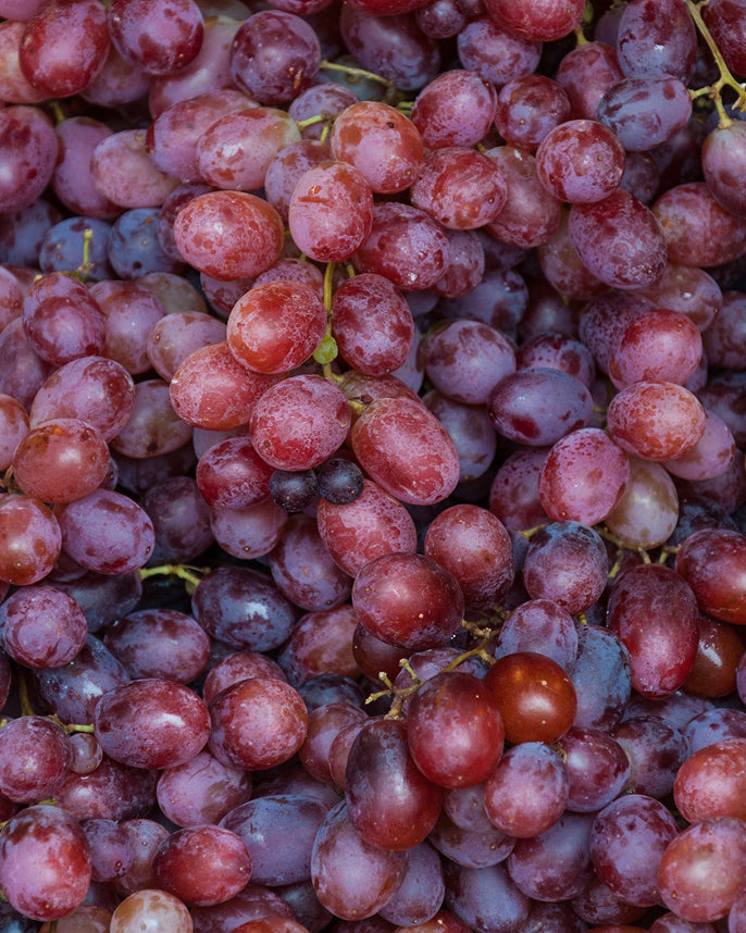 Close-up of red and purple grapes