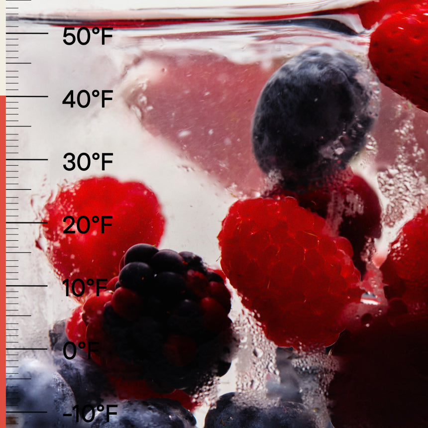 Frozen berries in a container with a temperature gauge showing below freezing temperatures.